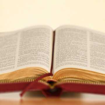Versete biblice pentru noul an