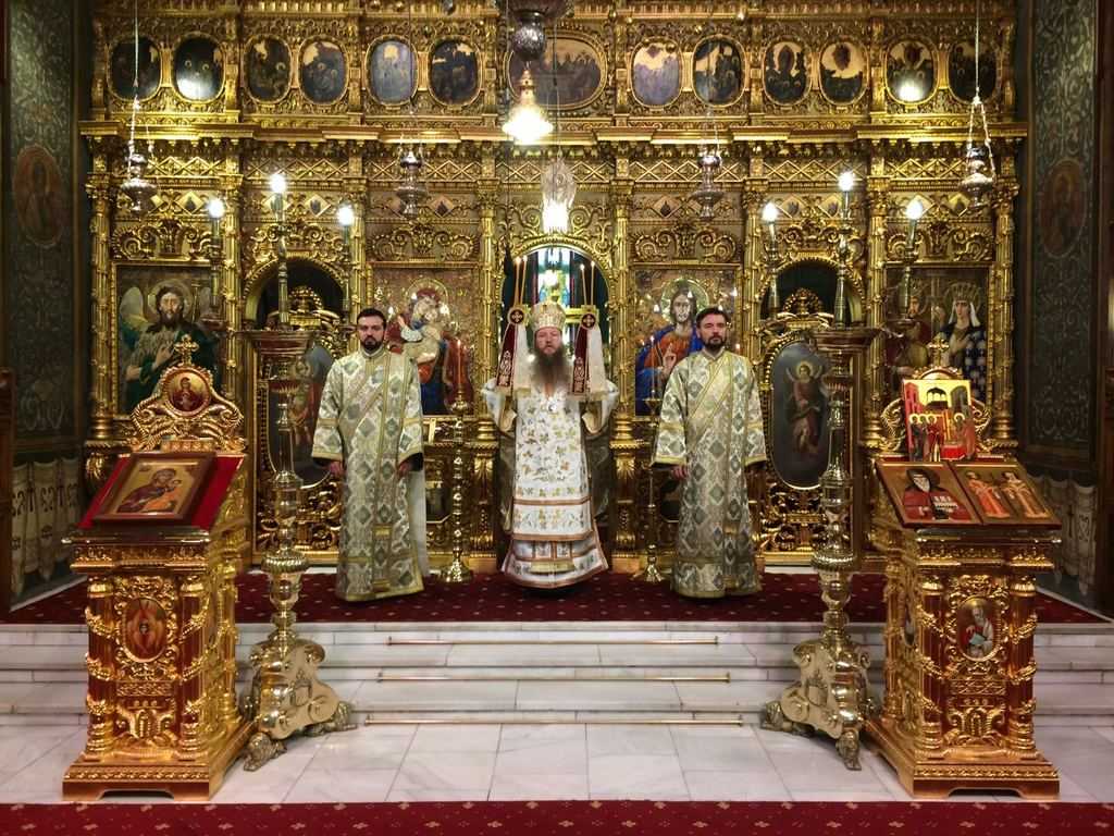 PS Andrei - Liturghie Sf Sinod feb 2017
